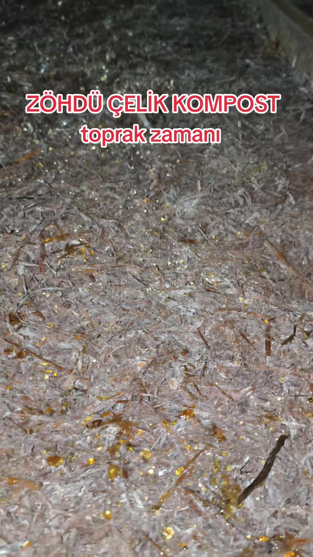 @ZÖHDÜ ÇELİK KOMPOST