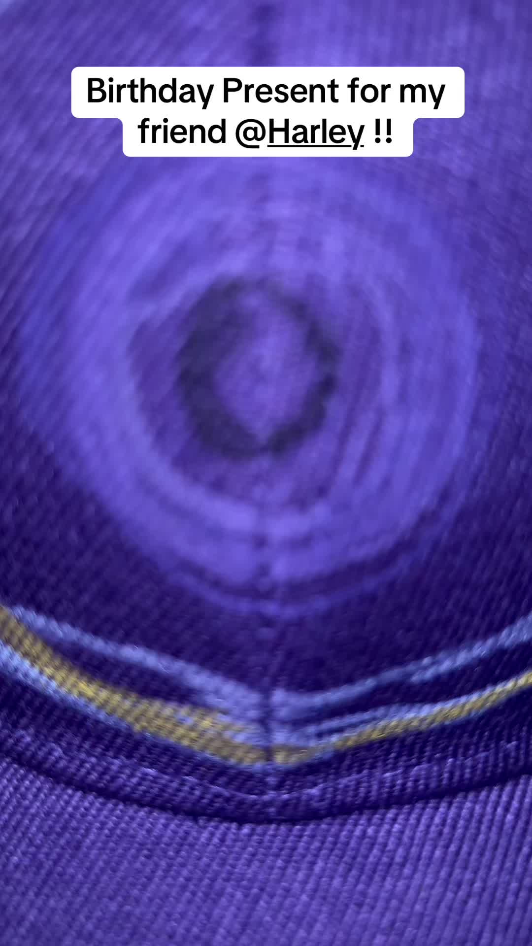 @CryptidsInYourCloset
