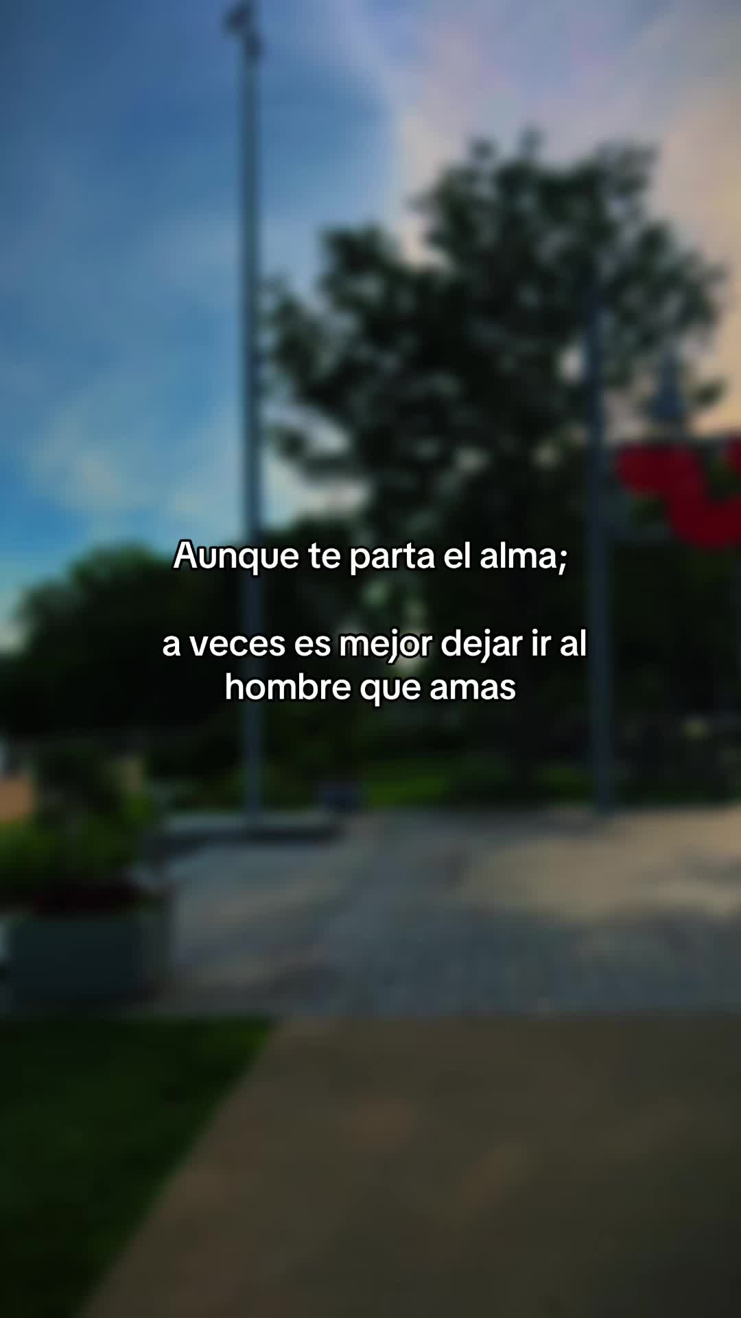 @hadadeletras