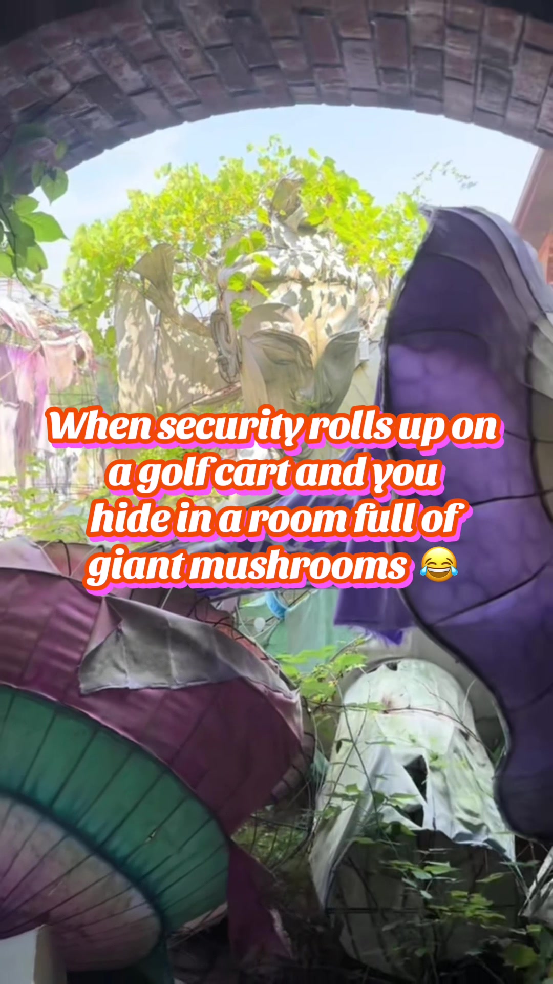 @Bando Bandits