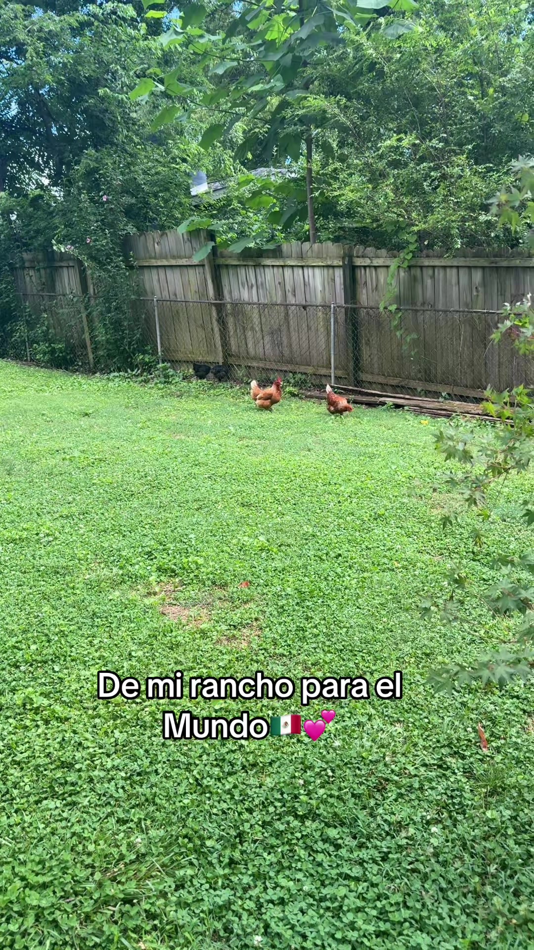 @sandra❤️👶🧑🧑🧒🧒