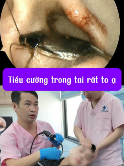 @Bs Hiệu Tai Mũi Họng Long Biên
