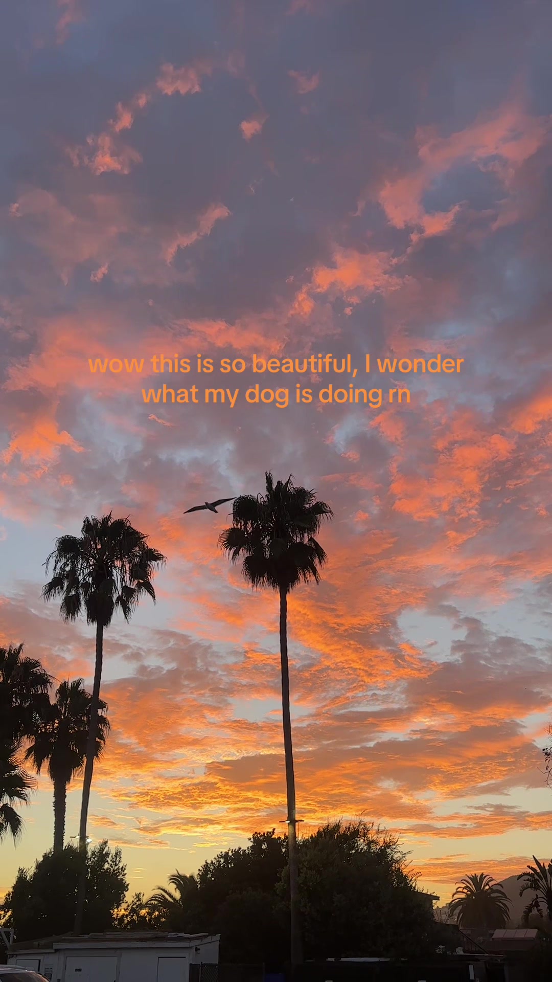 @LAURENTAYLOR DEJOHN