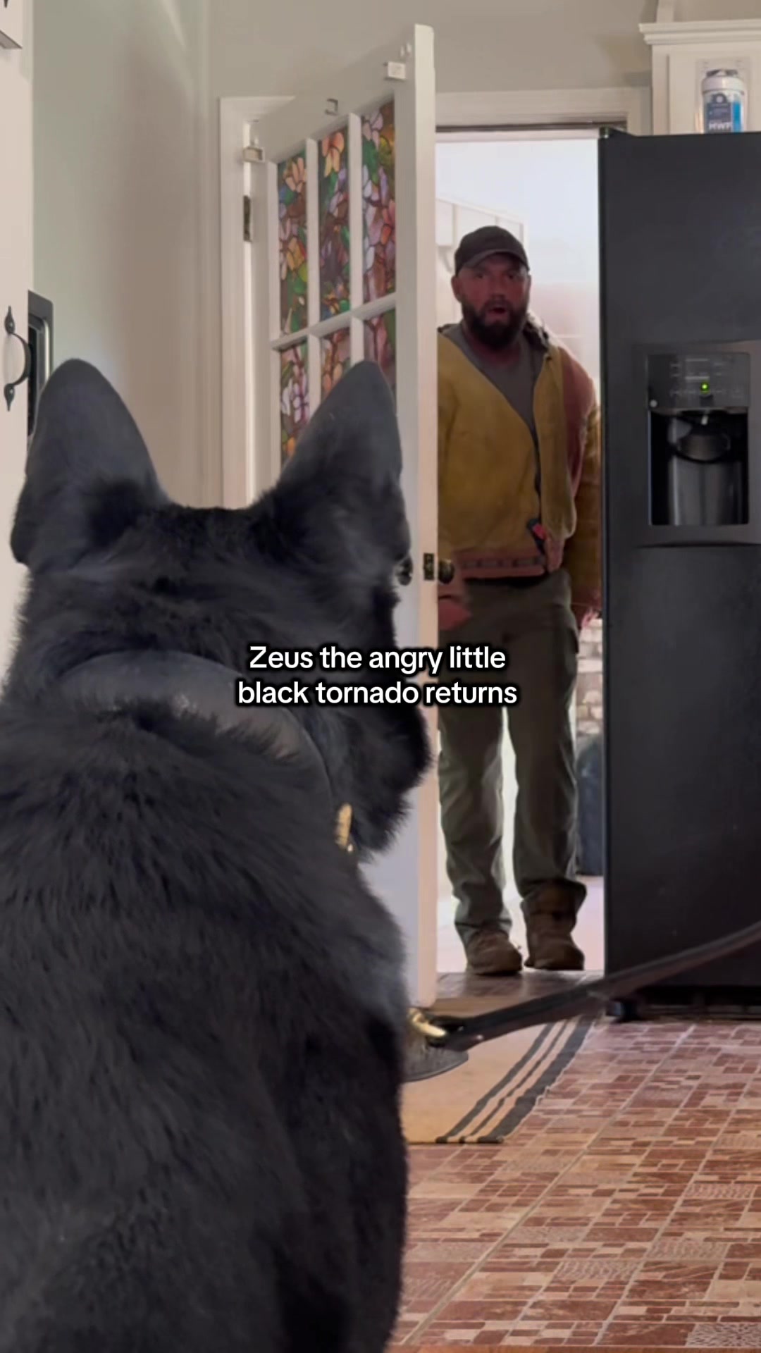 @True Guard K9 I Tara