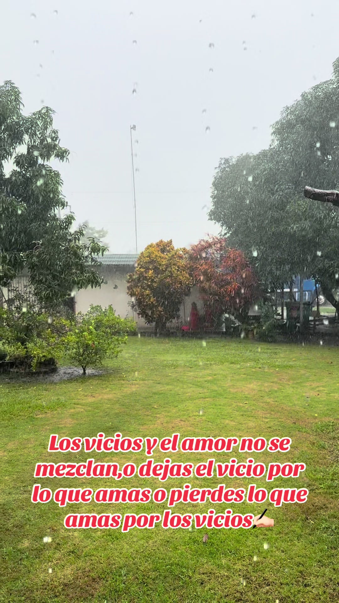 @davidmoreno5900