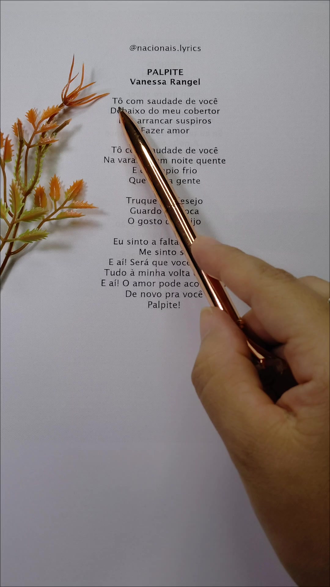 @nacionais lyrics