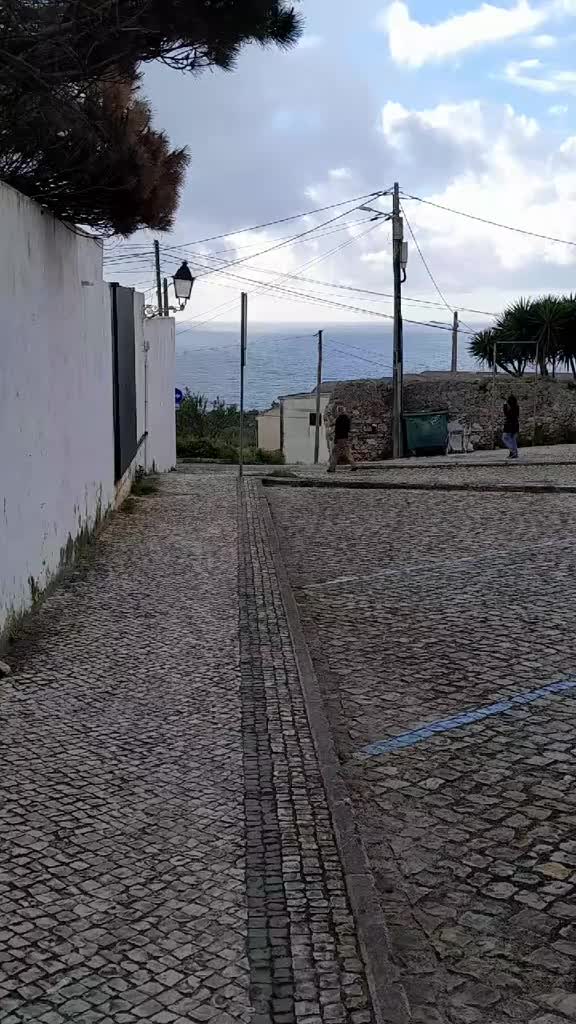 @sp15bjj
