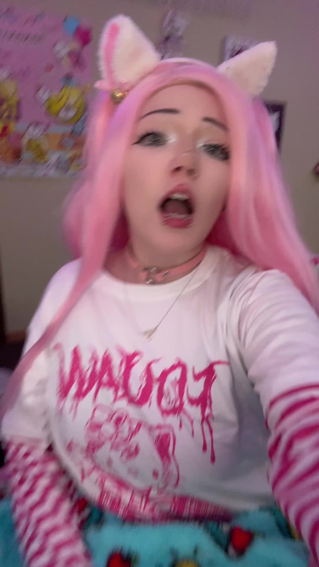@kitty