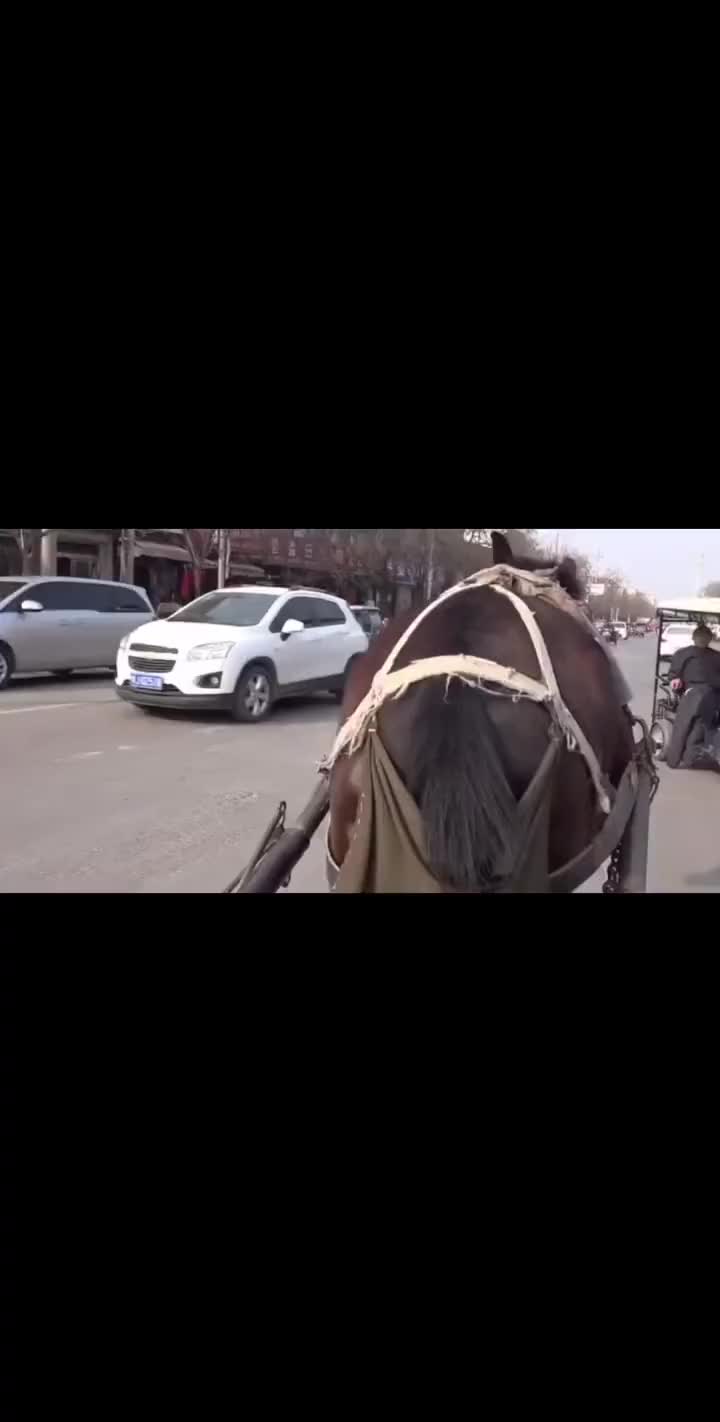 @天亮了