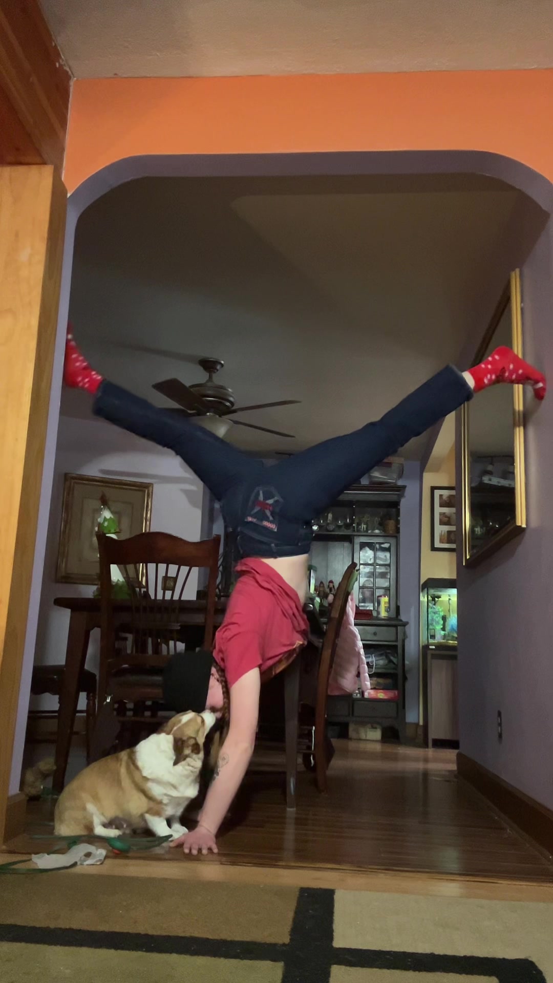 @Siggybugg
