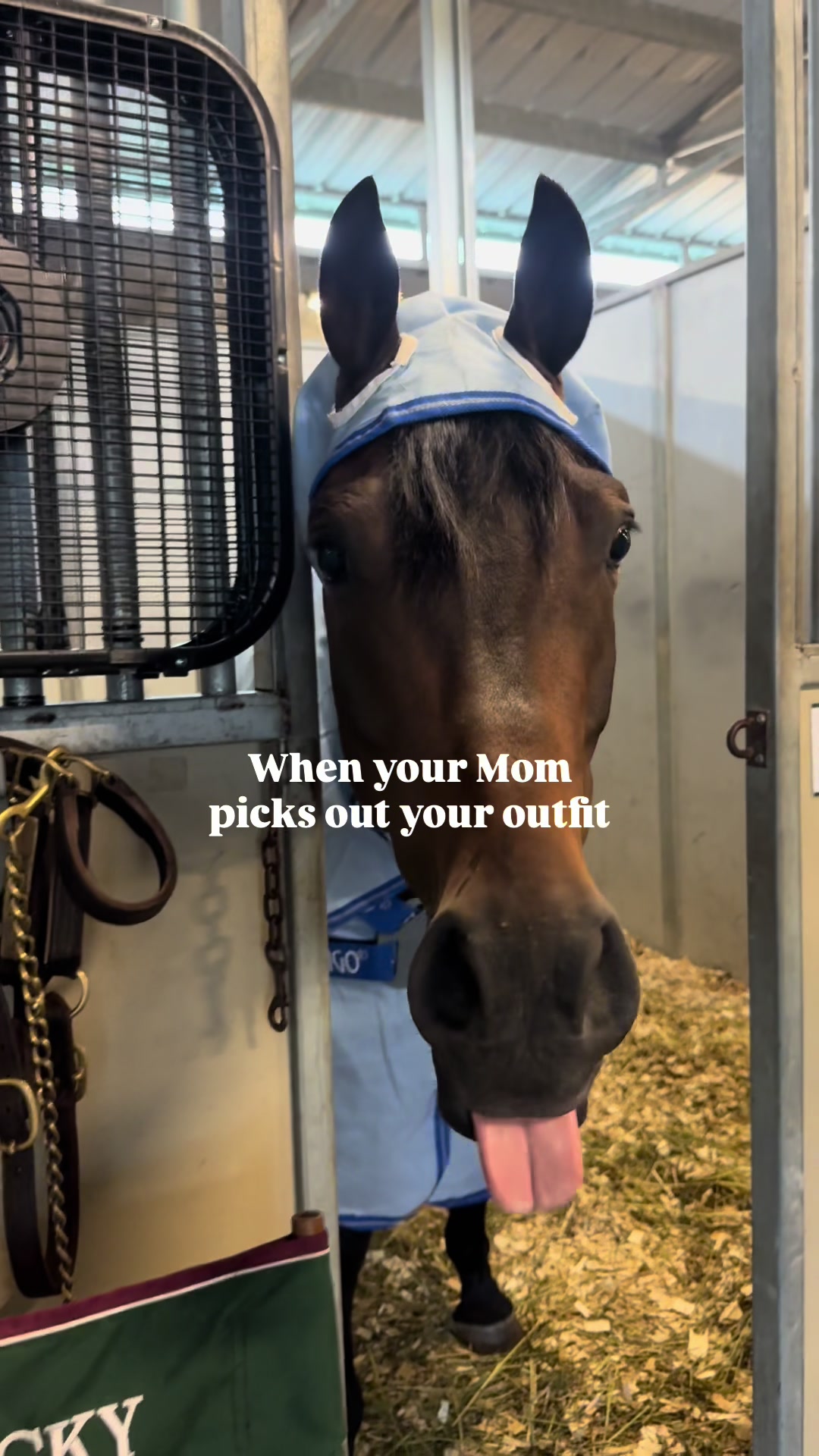 @Equestrian |🦄 Mom