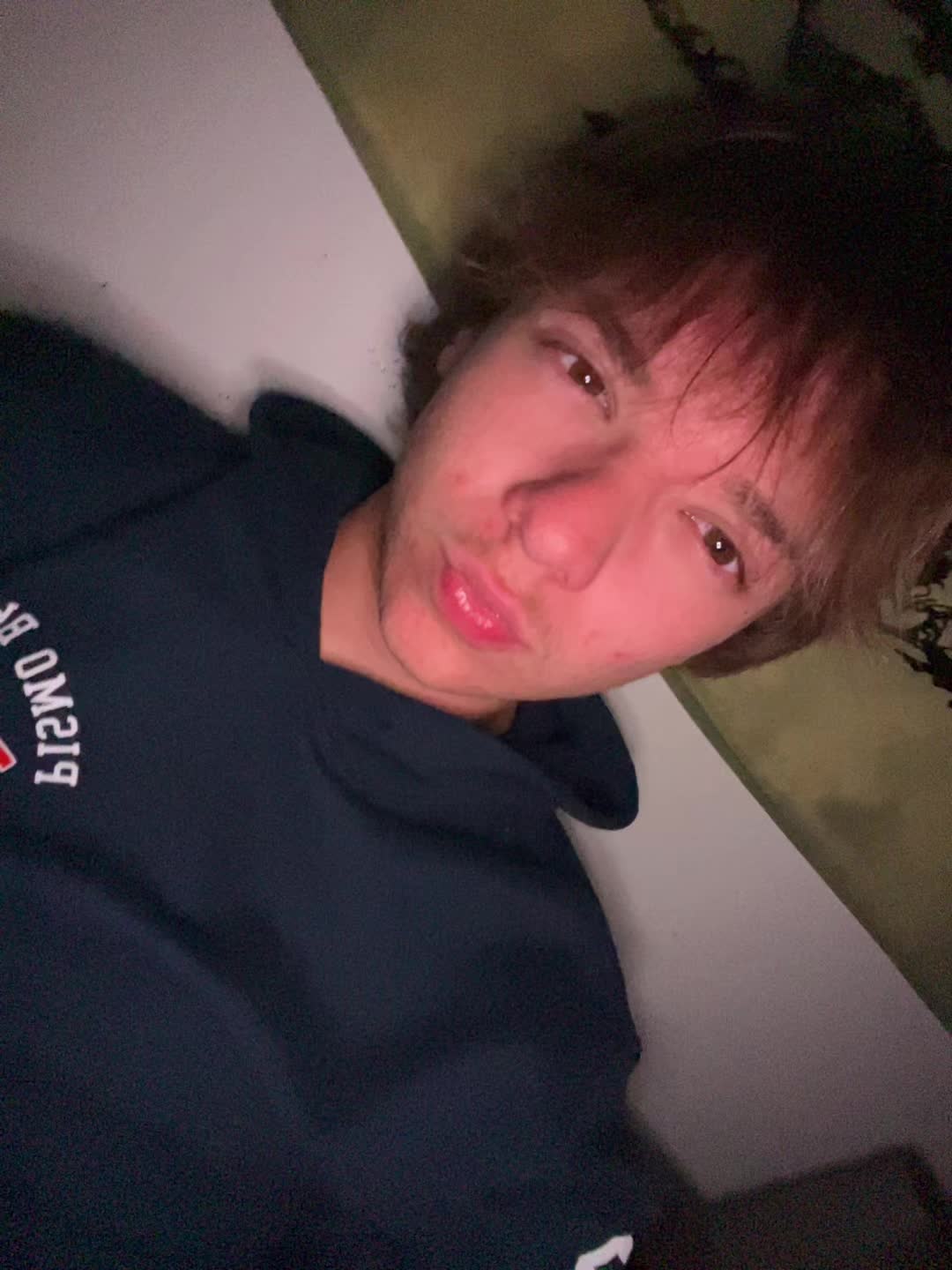 @zestybestie