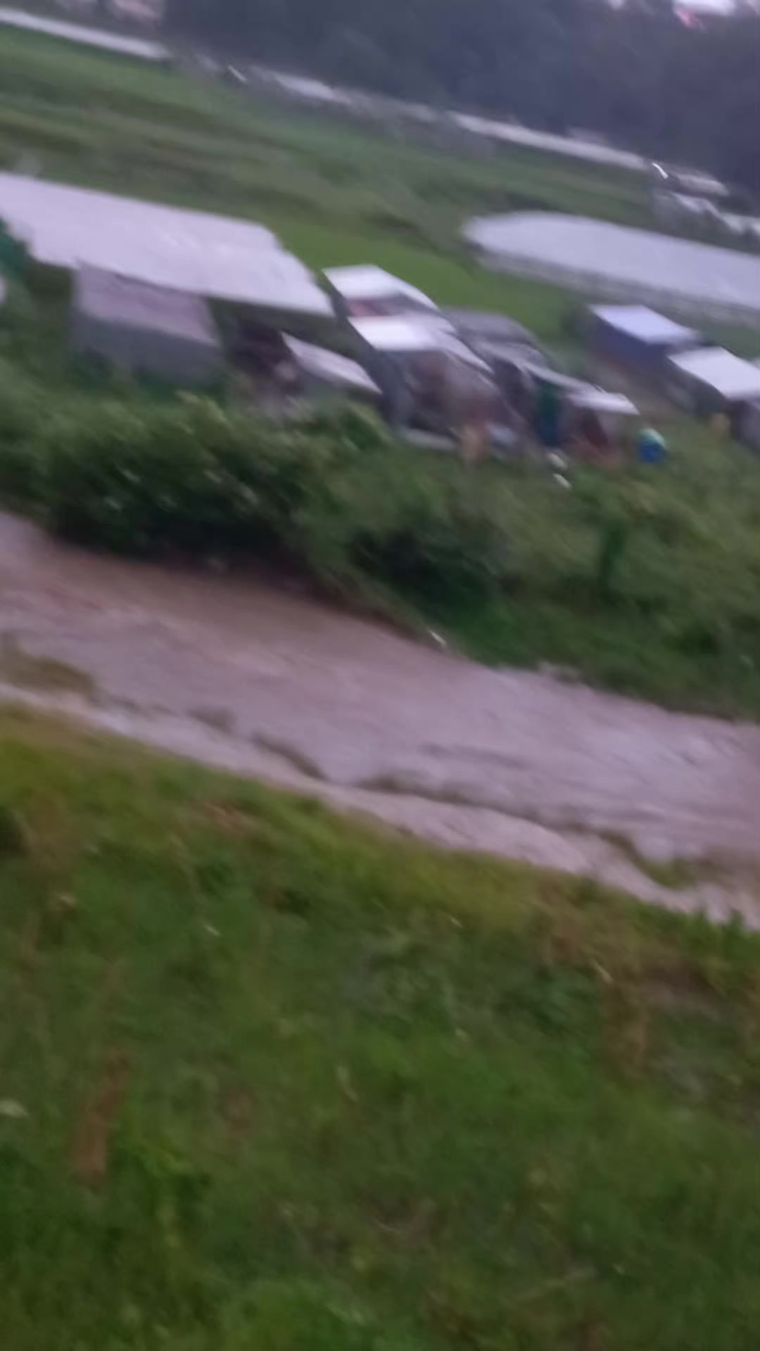 @Sabitri Nepal