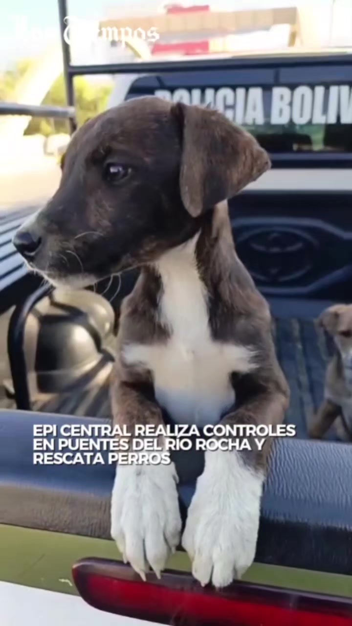 @Periódico Los Tiempos