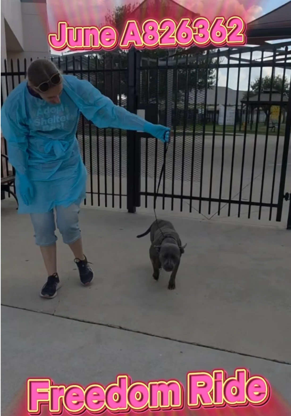 @pawssavingpaws