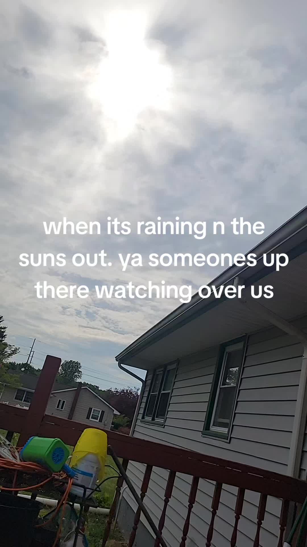@amylubin997