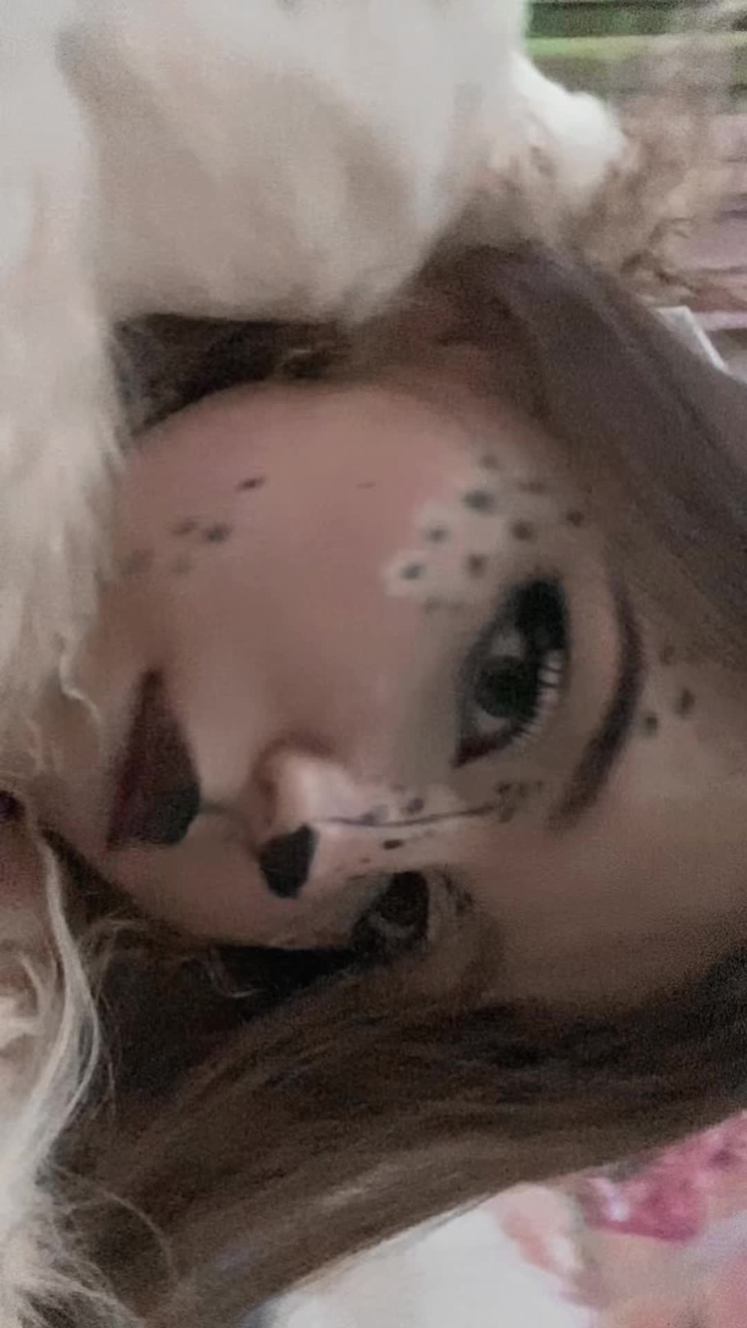 @ээ