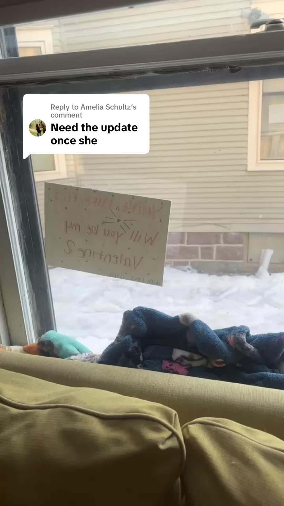 @avaviss