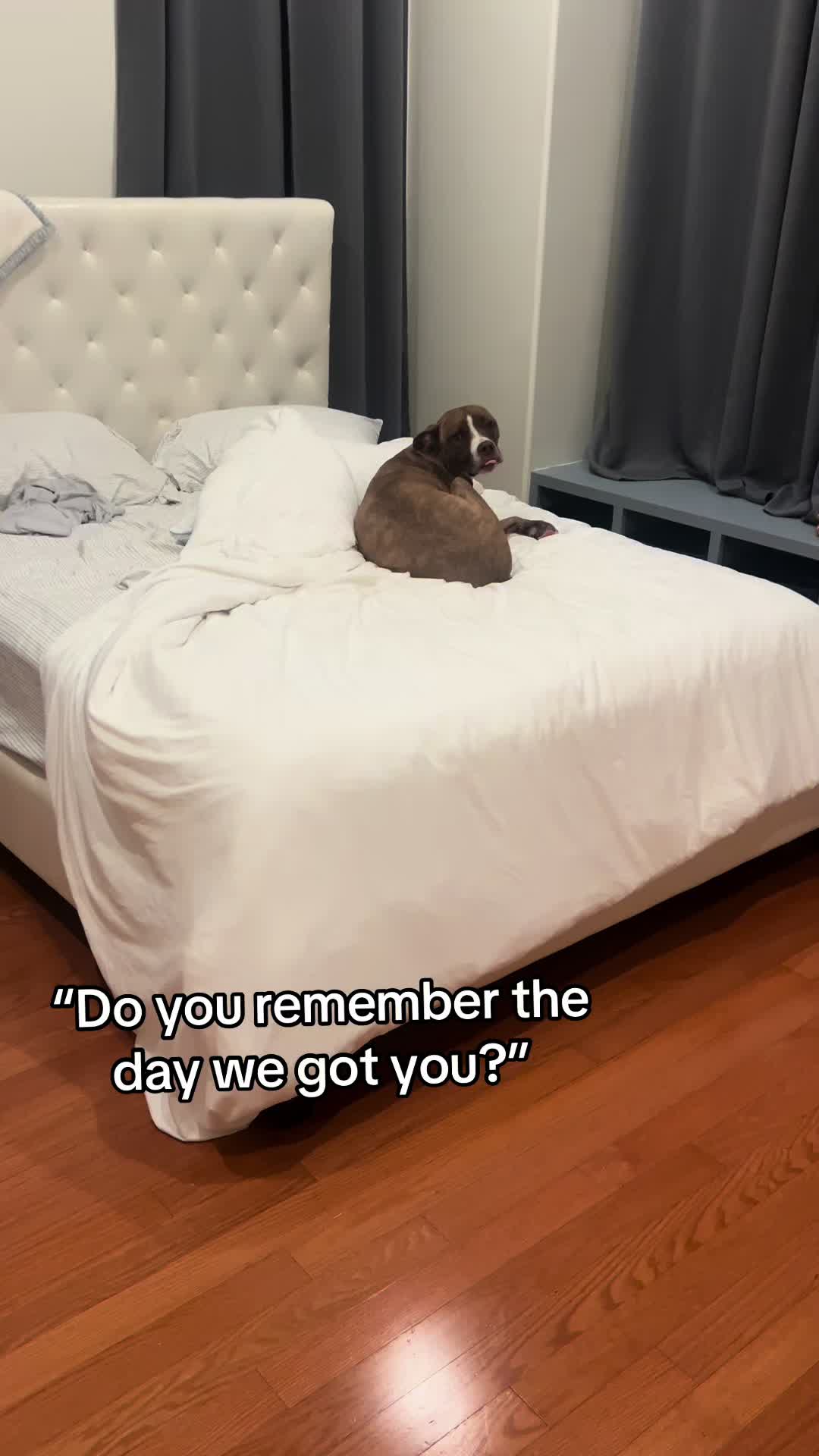 @Lilypad