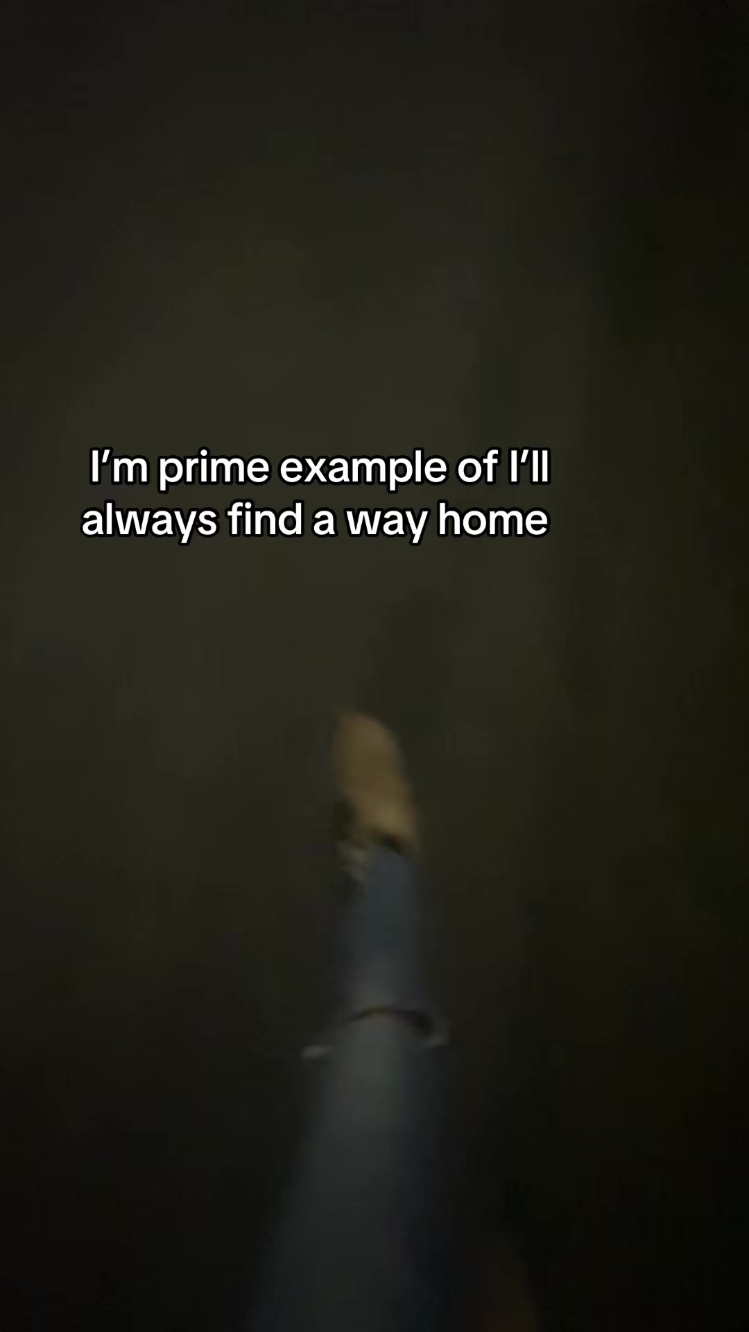 @stormmzy