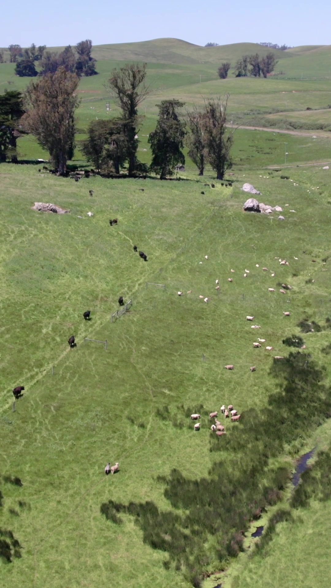 @Stemple Creek Ranch