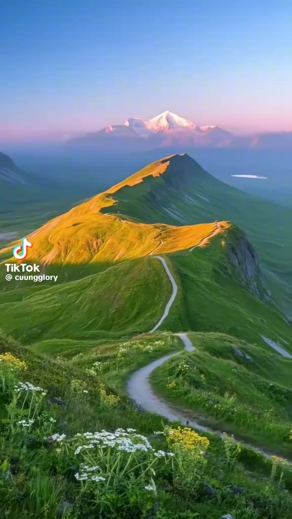 @🇲🇾💖K@kF@Ried@💖🇲🇾