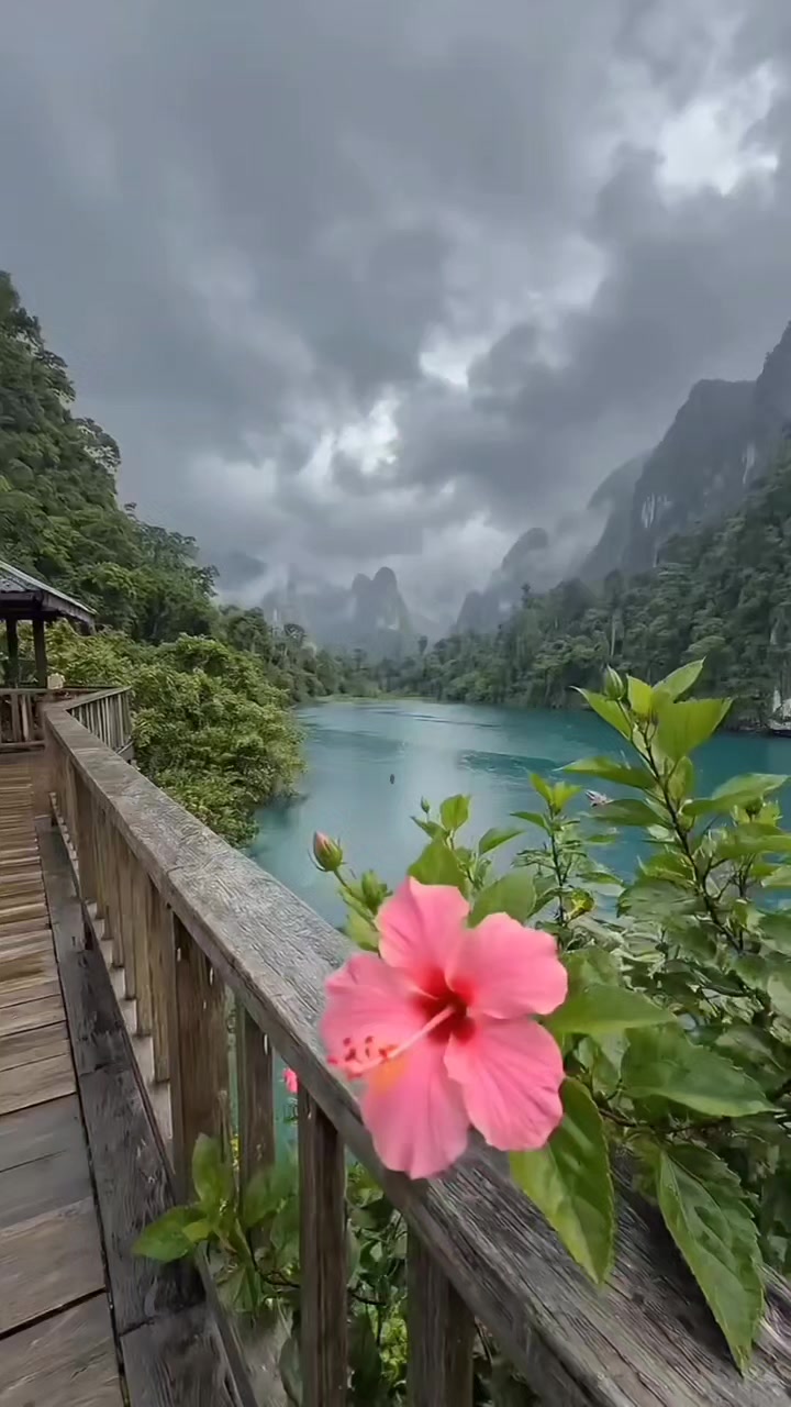 @Buupinder Singh