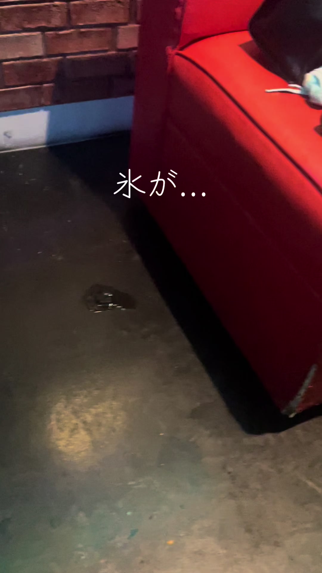 @ここみん