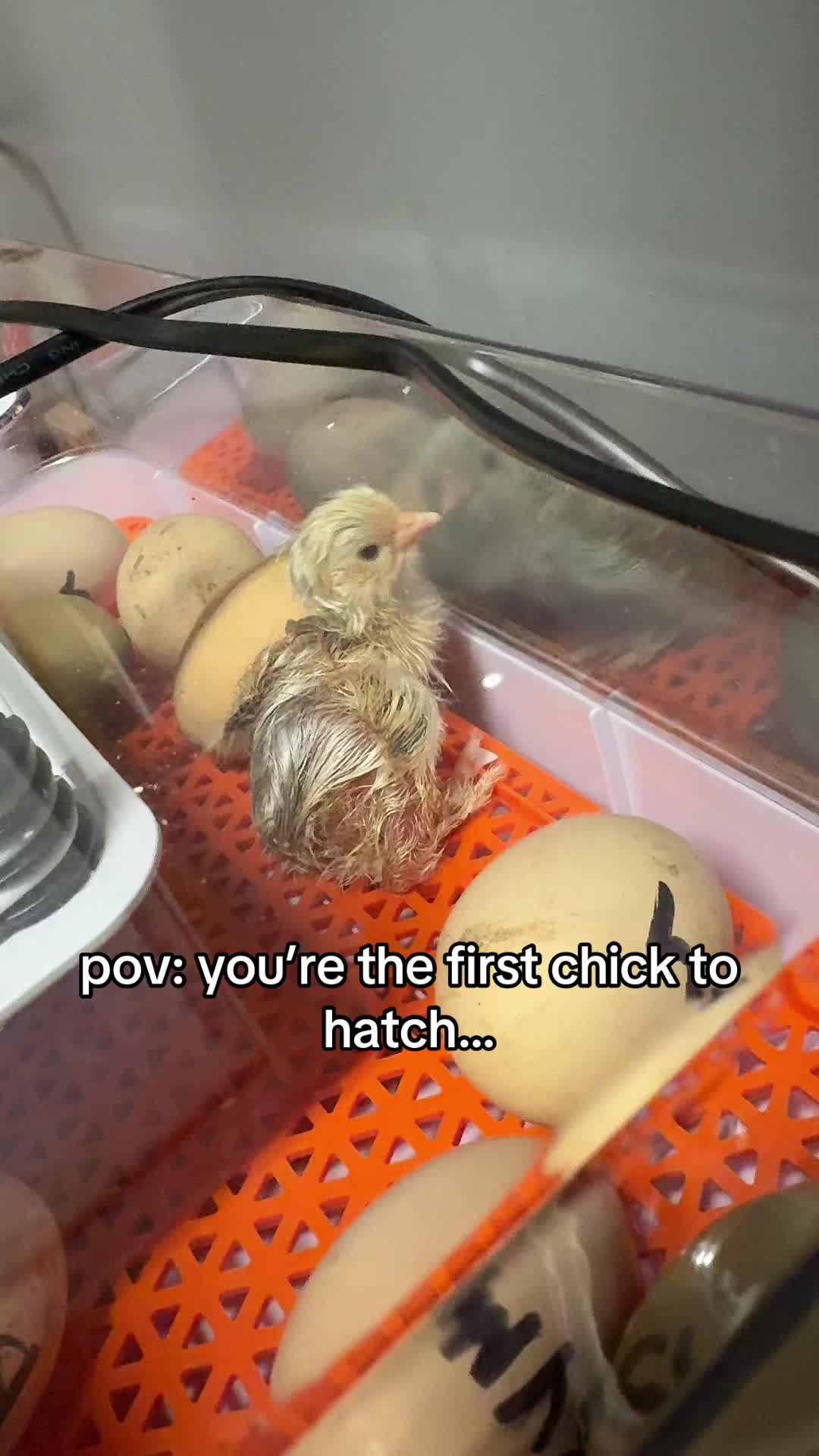 @alyssa🤍
