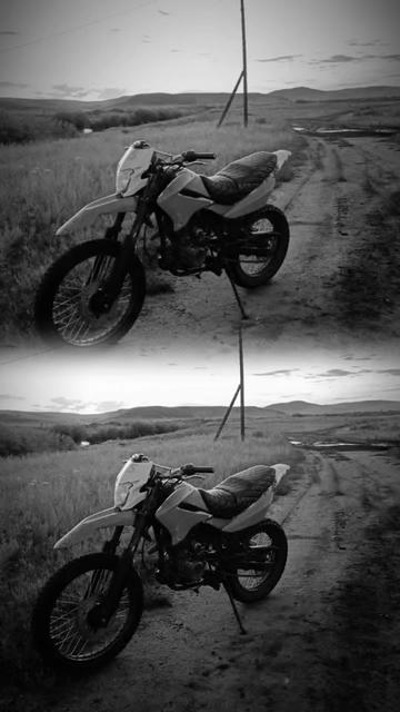 @panther 250