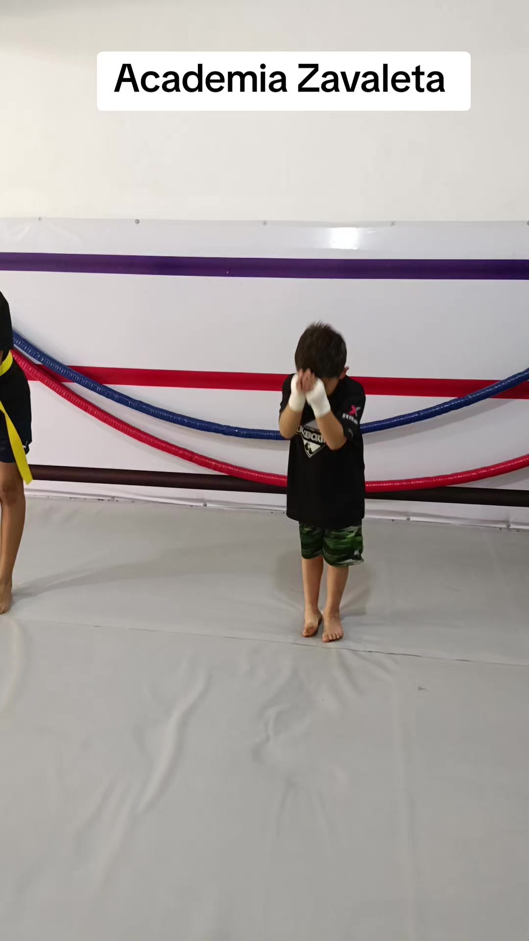@ZavaletaKickboxing_mma
