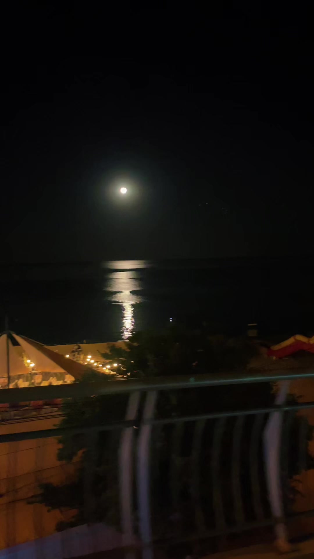@monodvij