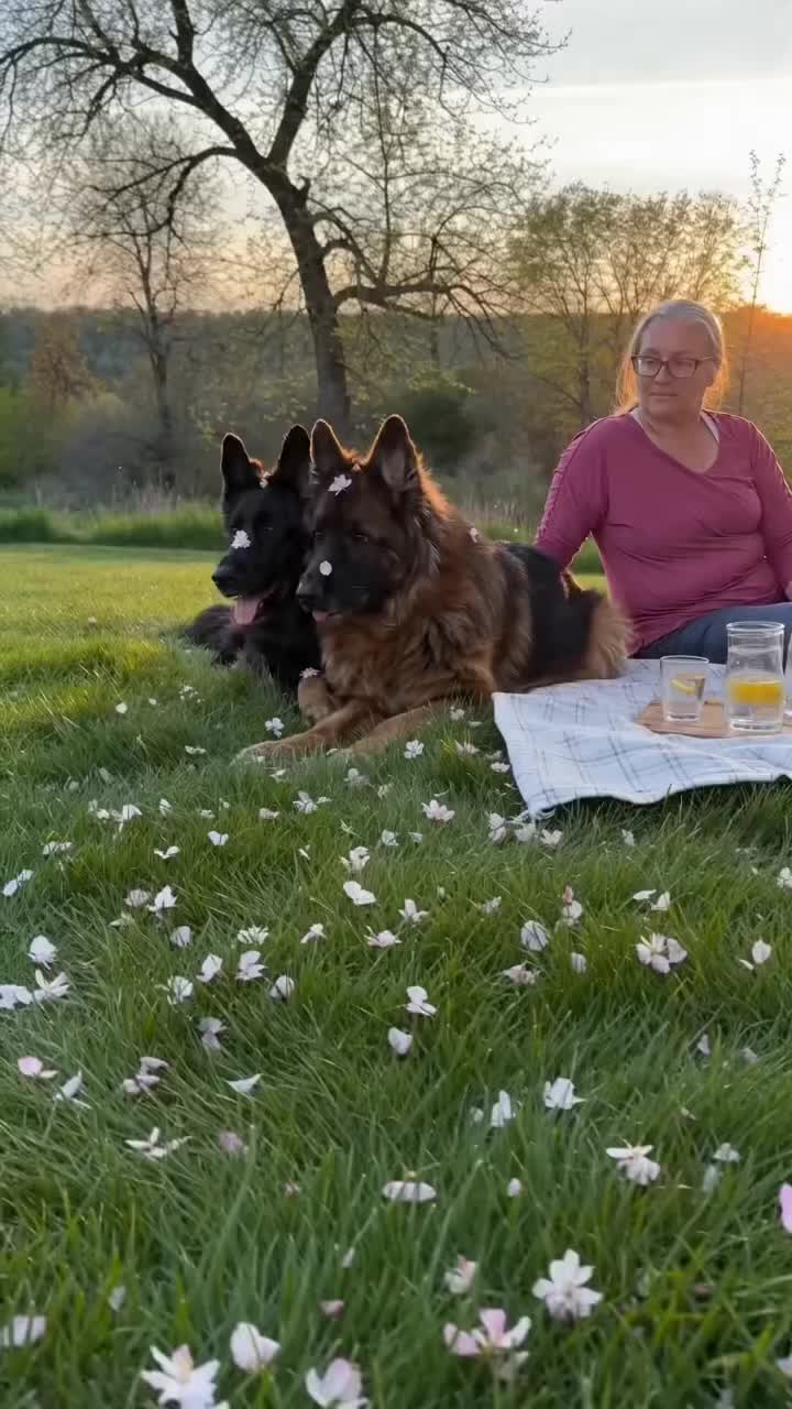 @Proud mom of Bear&Riska