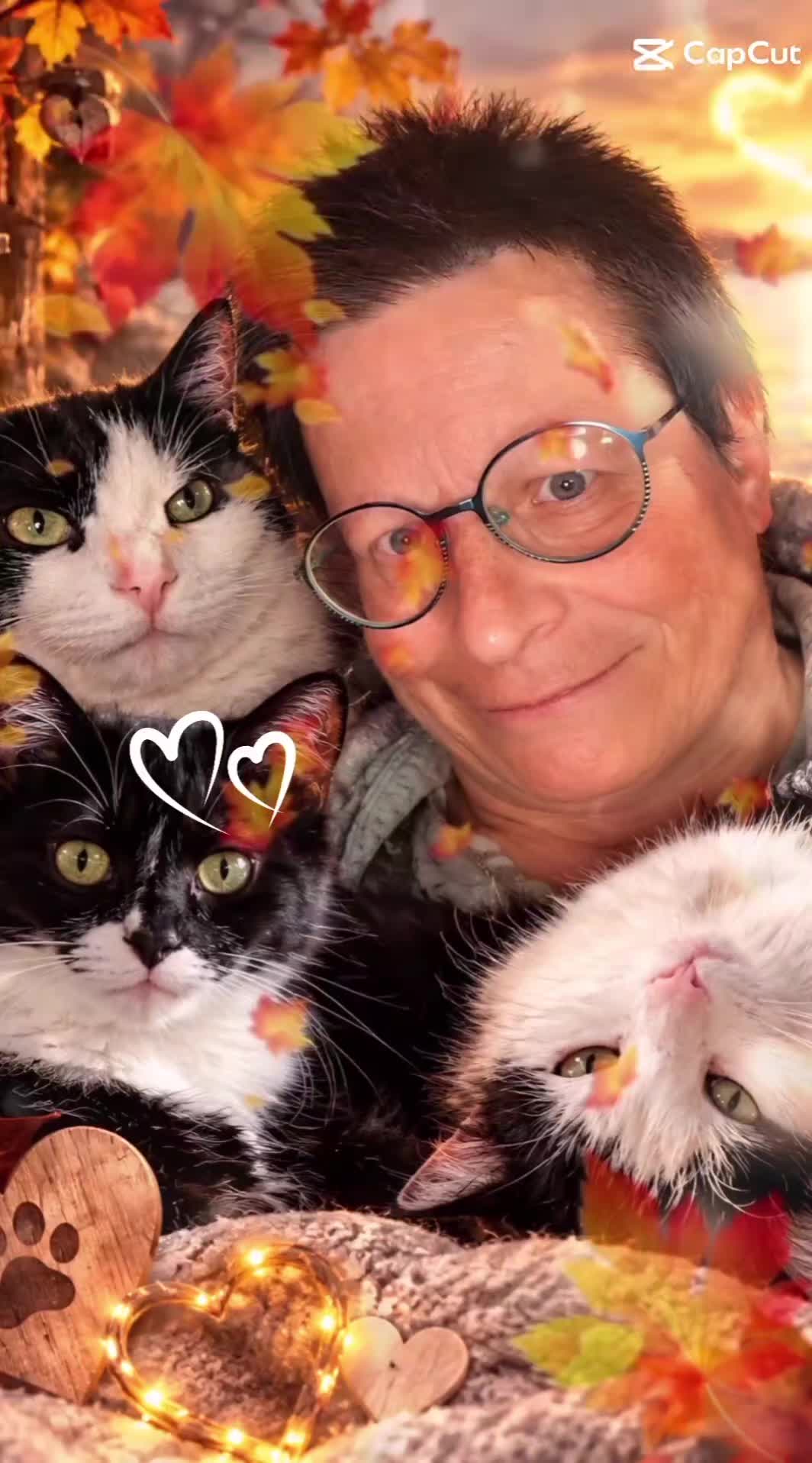 @Melanie Burg katzenstein😻😺😽