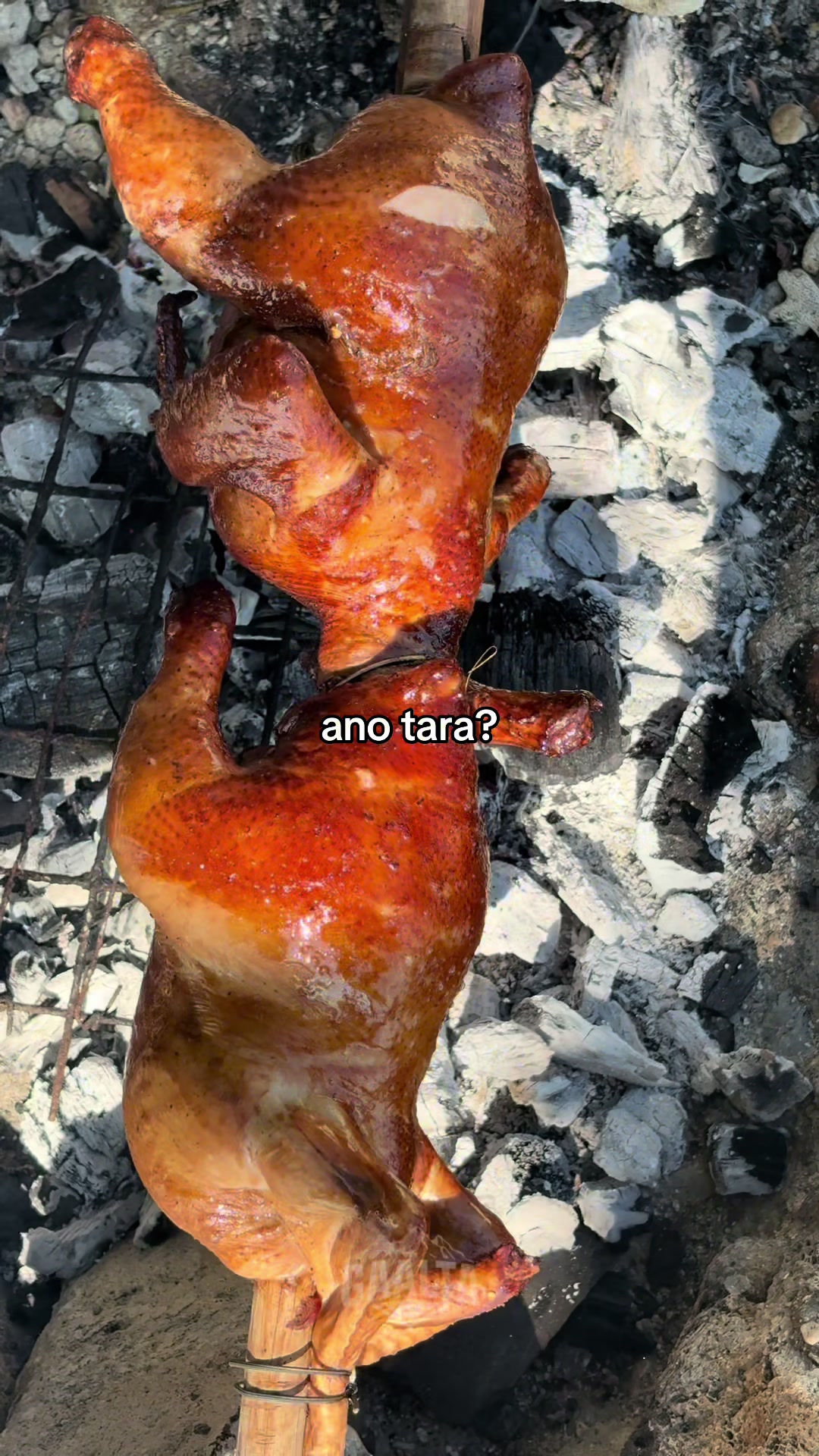 @GAALTA