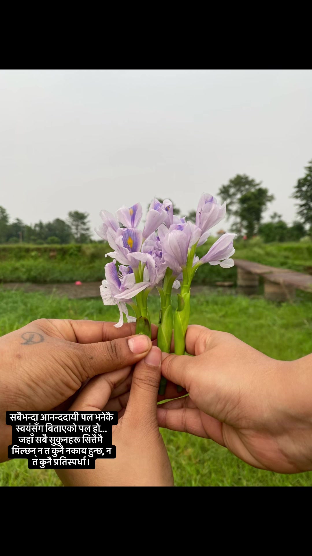 @Uma ghimire( ウマ )