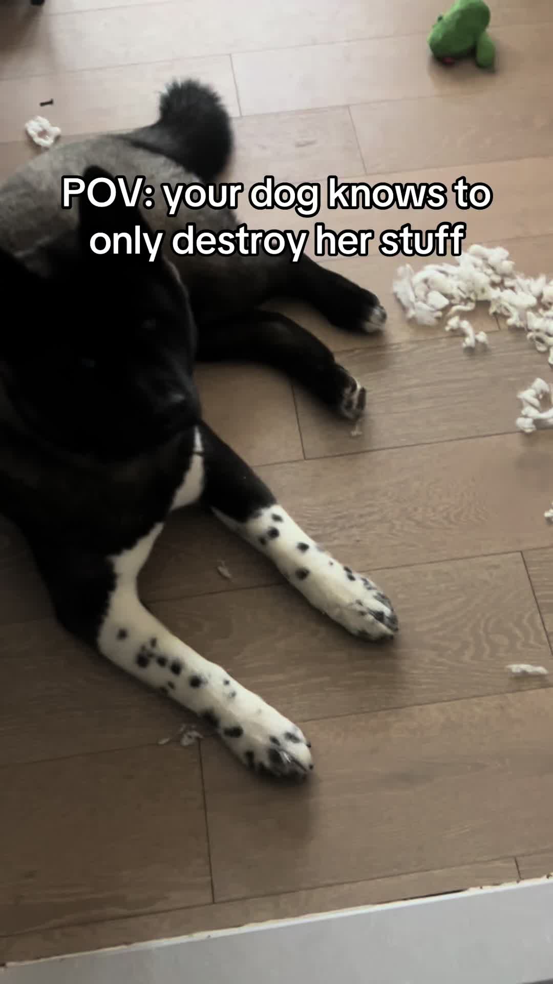 @tailsssss_