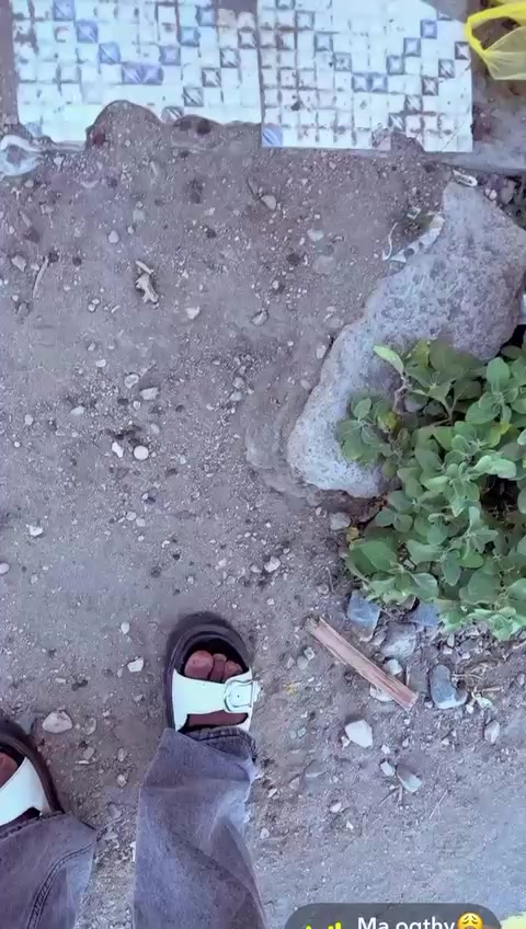 @𝐟𝐚𝐐𝐢𝐢𝐫𝐠𝐚𝐧𝐠𝐢𝐳🌴☠️