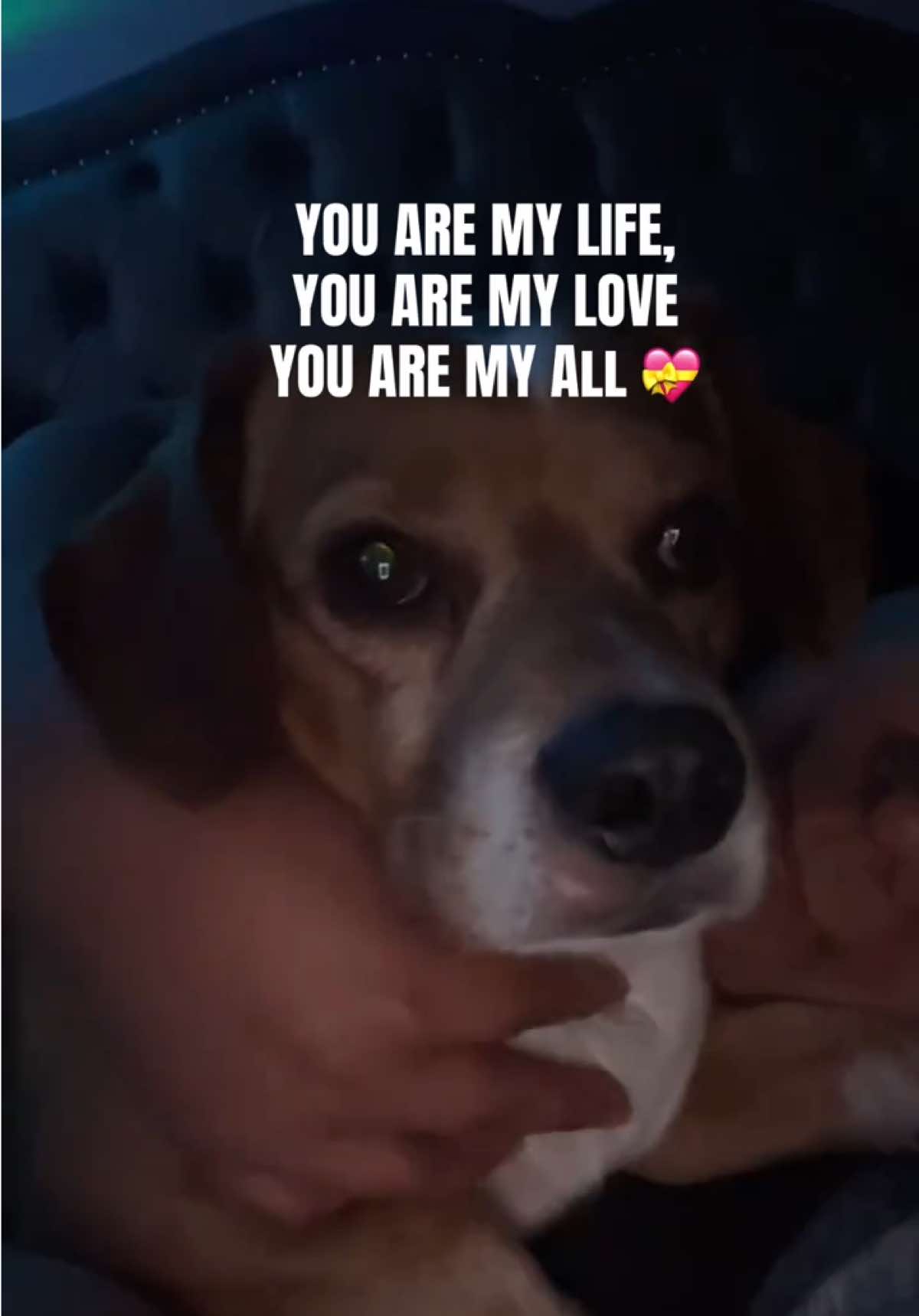 @Vicky✨