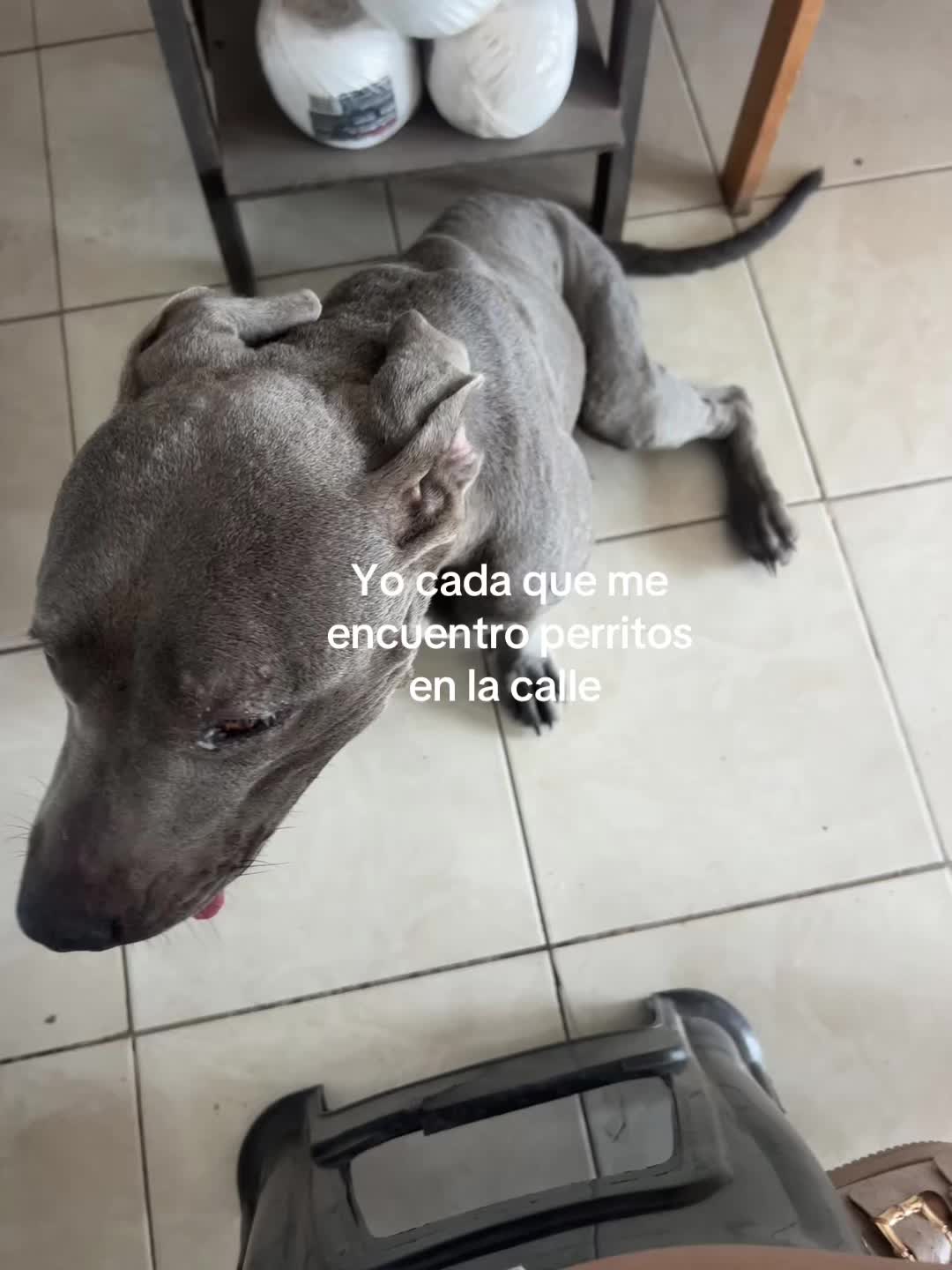 @Katia Espinosa