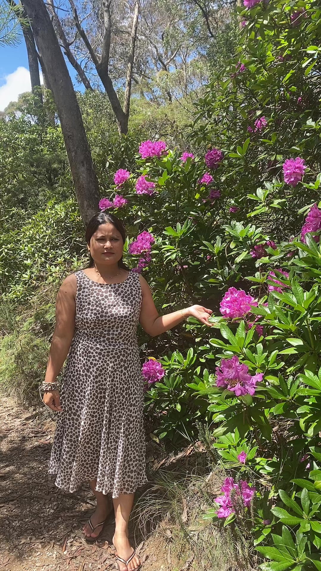 @sunukarki2