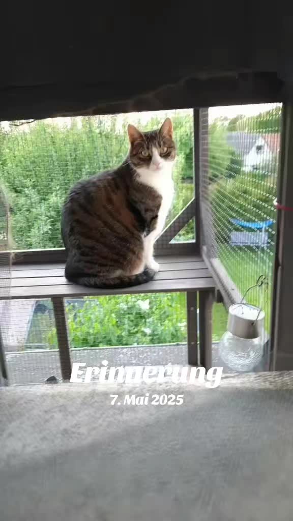 @😸 Alex 😸
