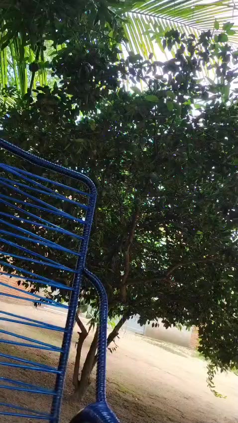 @Gil Ferreira Silva