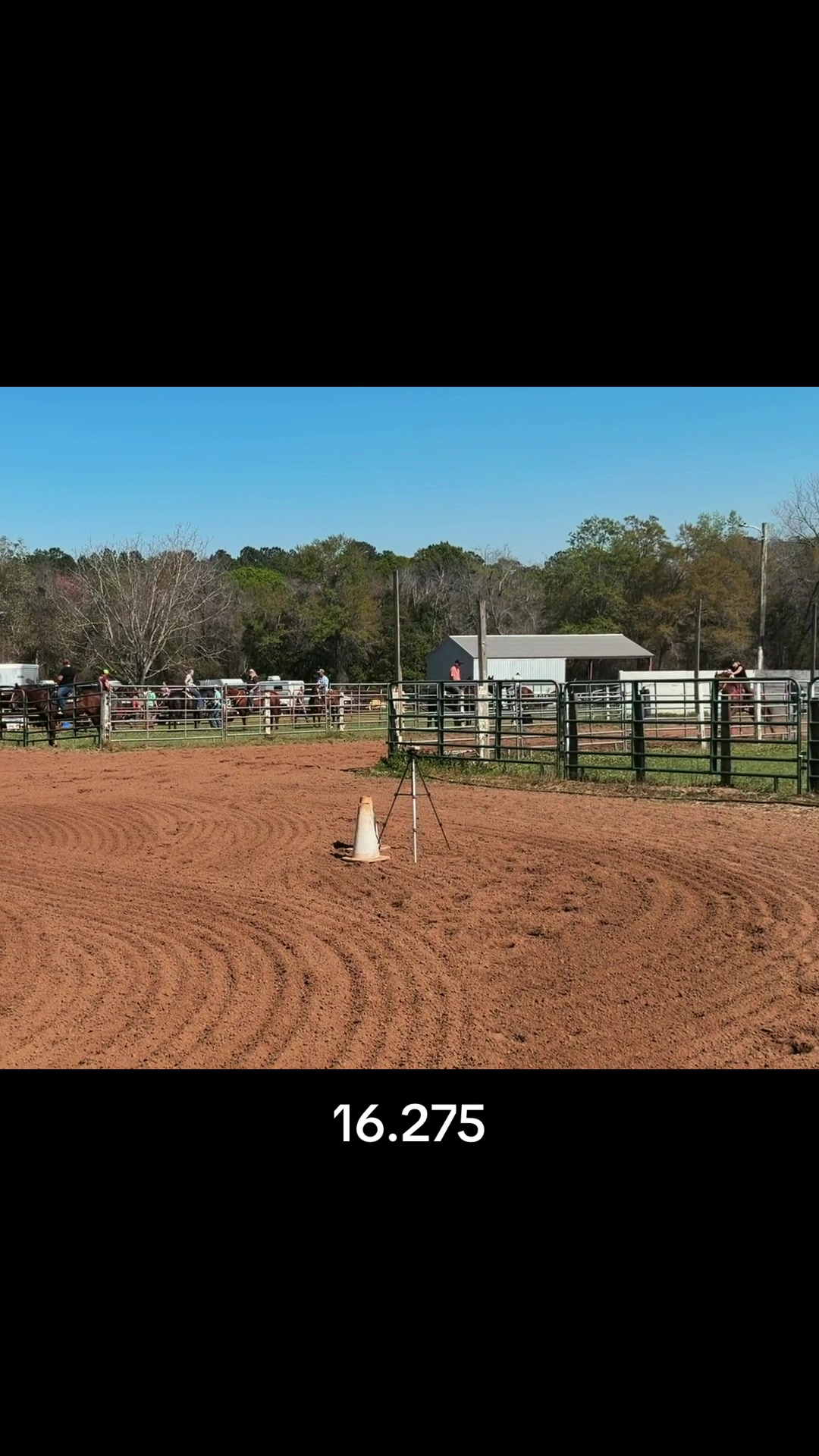 @barrelracingmama