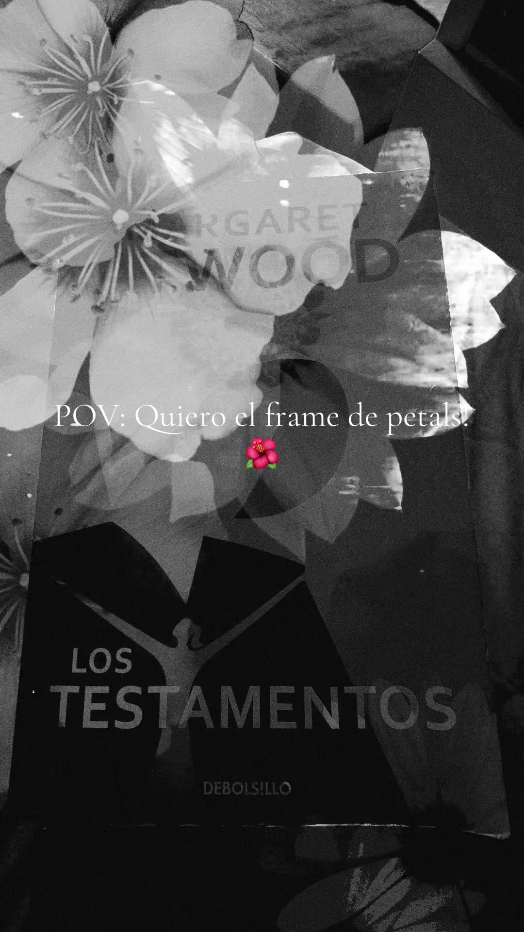 @Lau 🥰