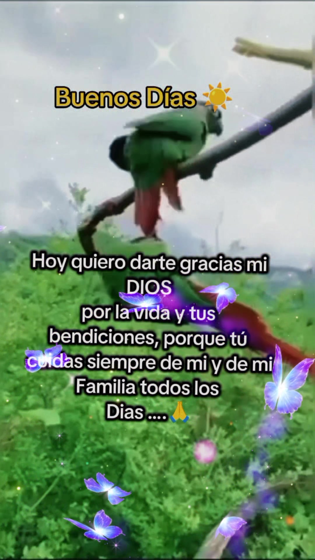 @elaine
