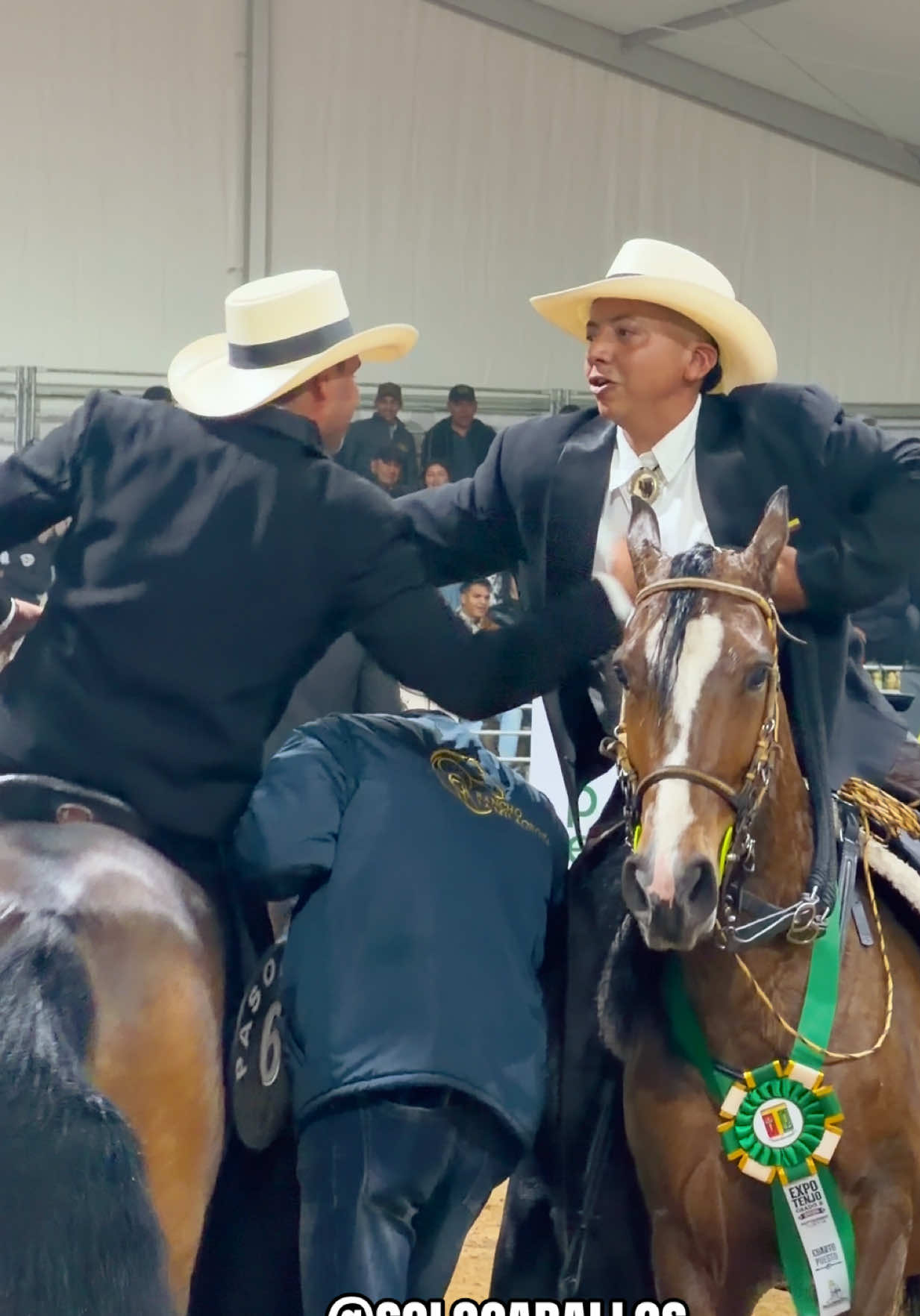 @Solo Caballos