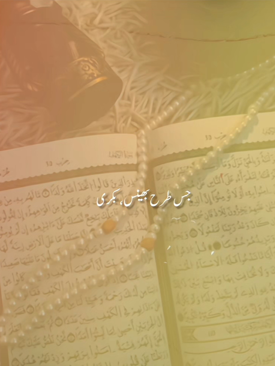 @𝐢𝐬𝐥𝐚𝐦𝐢𝐜 𝐯𝐢𝐝𝐞𝐨𝐬 ❤️