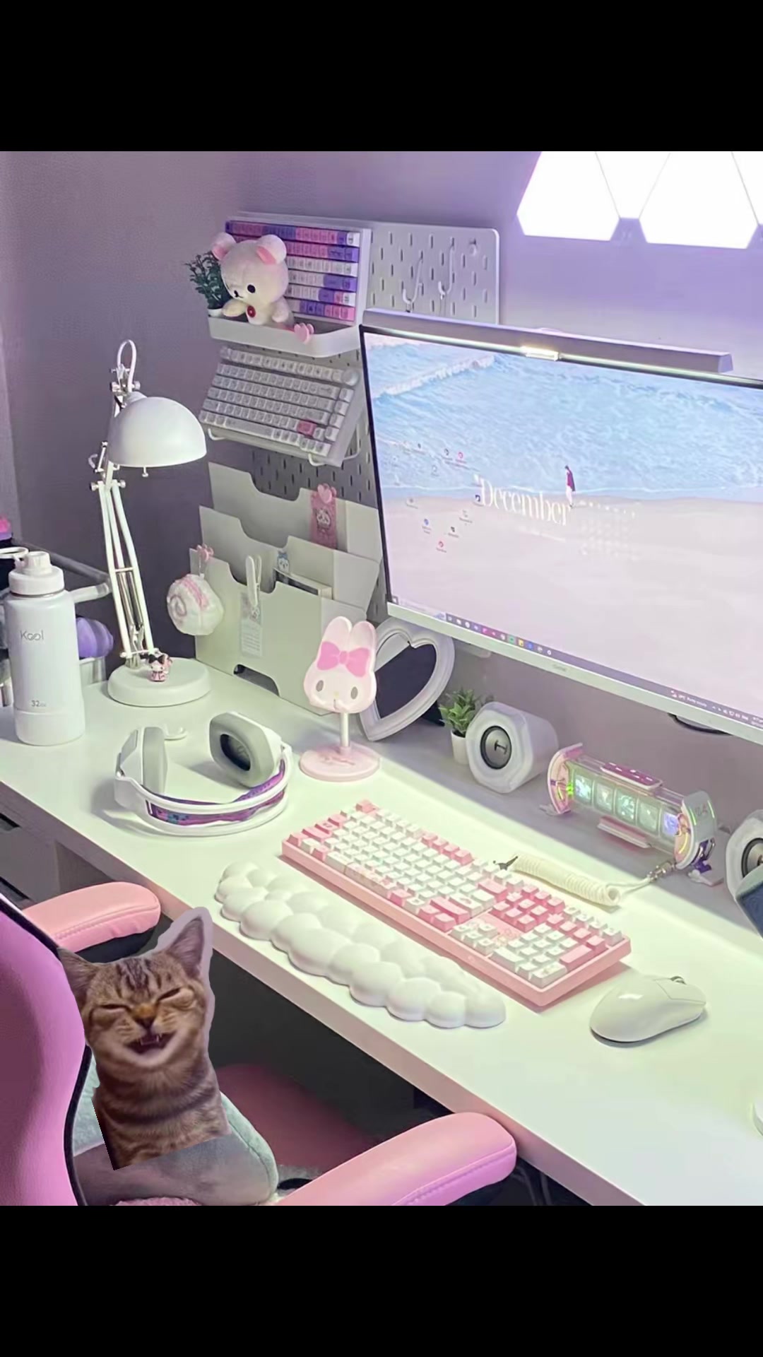 @ALINA