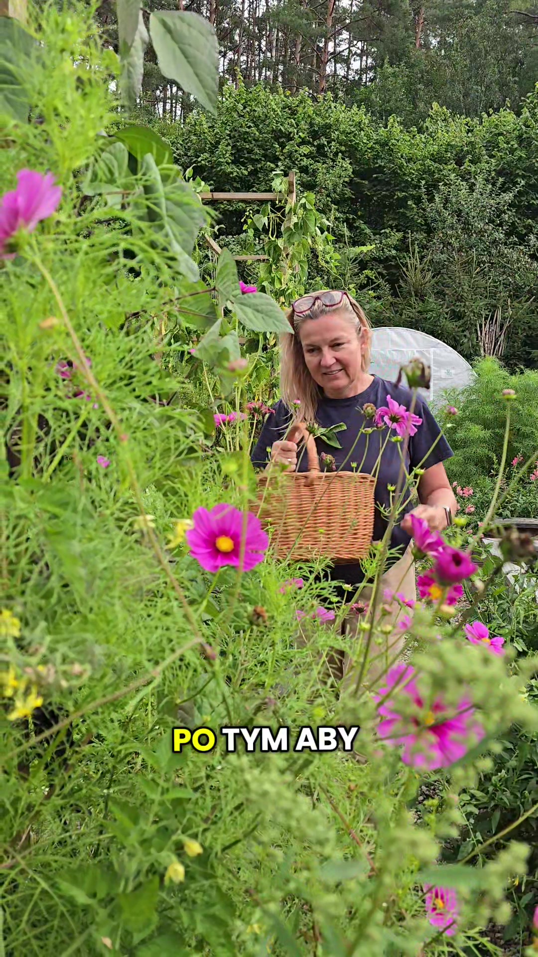 @Sylwia